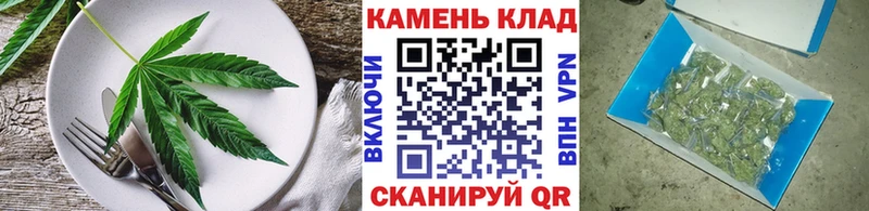 Купить закладки  Курильск  Еда ТГК конопля 