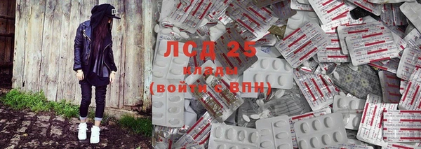 спайс Аркадак