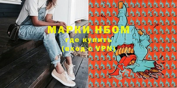 соль ск Арсеньев