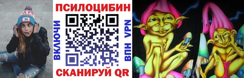 Псилоцибиновые грибы мицелий  Купить  Курильск 